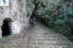DSCN8611